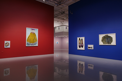 Ishiuchi Miyako Exhibition — Frida is