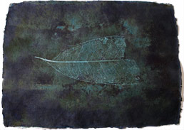 Kenji Ota Series Estrutura foliar #1 (Foliar structure #1), 1996 Van Dyke Brown on Cyanotype printed on Handmade cotton paper