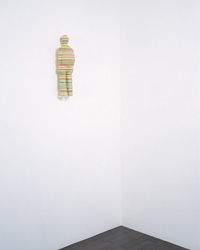 袴田京太朗　Wanderer 51×16×12cm　アクリル板　2005 撮影:山本糾　個人蔵