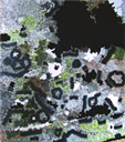 テサグリの図画No.58　2007