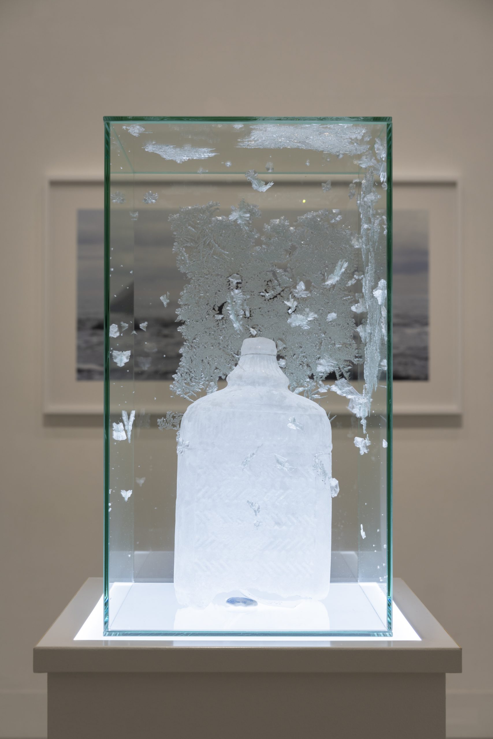 Aiko Myanaga 《message 2019/2021》 2021  naphthalene, stone (piece of Porcelain), mixed