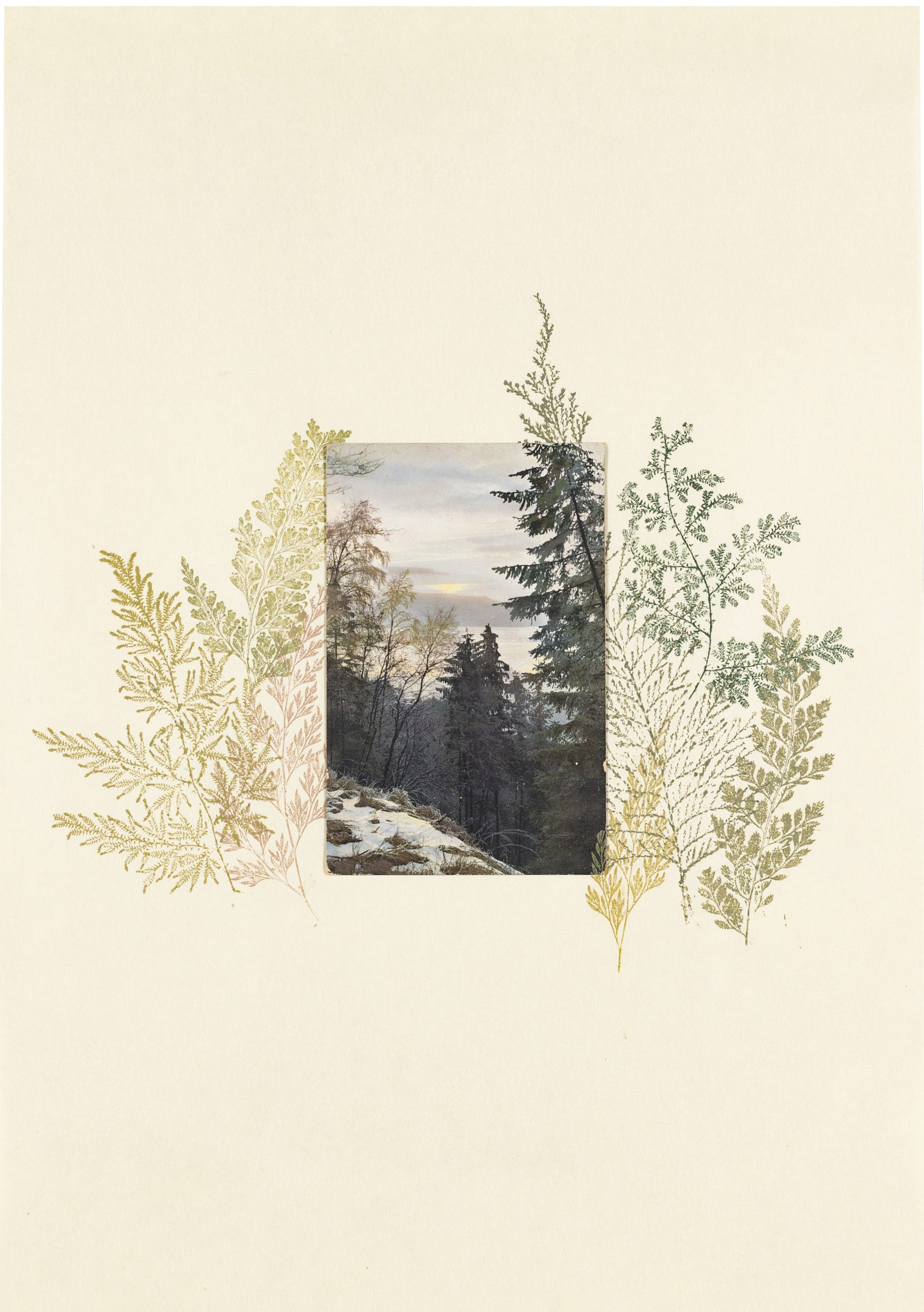 《Can't see the forest for the leaves》 2024 